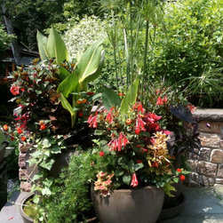 Designer Planters for sale - Outdoor Pots And Planters