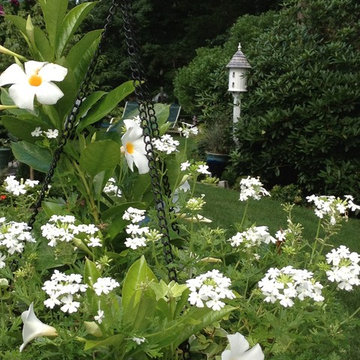 A Garden Studio
