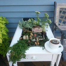fairy gardens