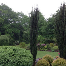 French Country landscaping