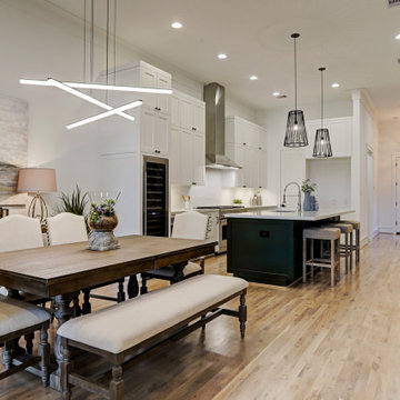 Houston Heights Modern (2)