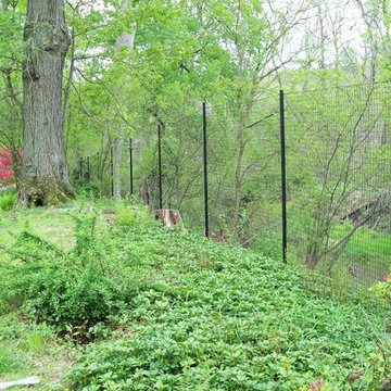 Deer Fencing