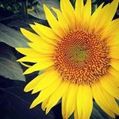 Michelle Hewitt's photo