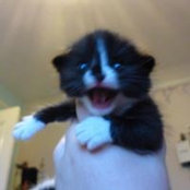Sally Hardie's photo