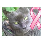 Foto von Jerri Cuthbertson