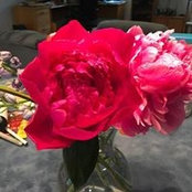 Jeannie Weir's photo