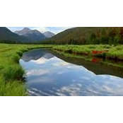 Lori May's photo