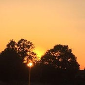 Foto von Bee Jaro