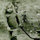 Julie VM