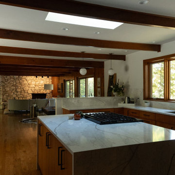Rockford Kitchen & Living Space Remodel