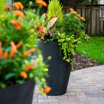North Shore Garden