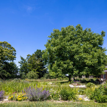 Naturteich
