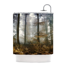 shower curtain