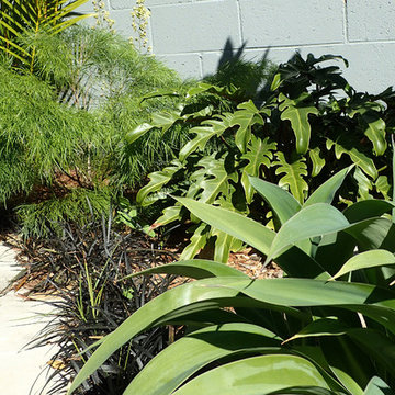 Tropical landscape design