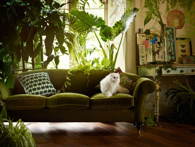 Фьюжн Гостиная Eclectic Living Room