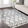 Mod-Arte Fez Collection FZ04-10135 White and Charcoal Runner Rug, 55"x31"