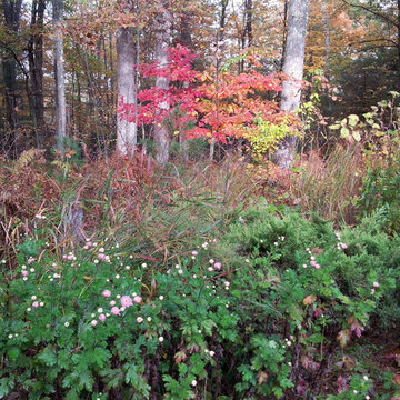Catskill Mountain Project