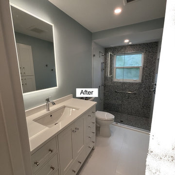 Guest Bath Remodel