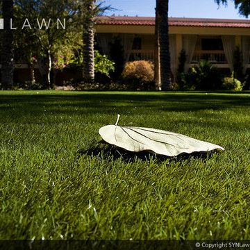 SYNLawn | Close-up Shots