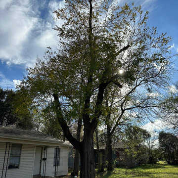 Solution Tree Service LLC