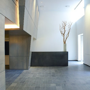 Example of a huge minimalist home design design in Philadelphia
