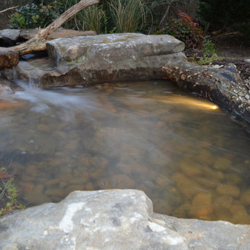 Backyard Koi Pond with Pond Plants, Lights and Driftwood