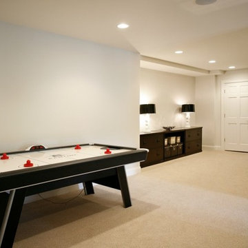 Roswell - Basement Remodel