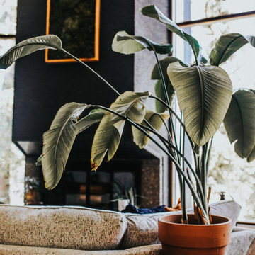 Modern Jungle-O
