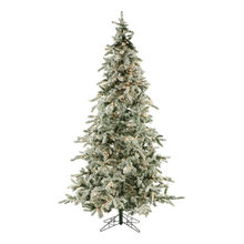 Wish List