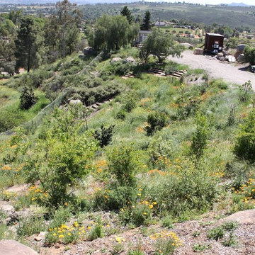 Casa Aguila Ramona Food Forest