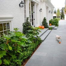 Paver Patio