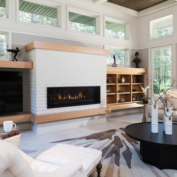 Contemporary Living Room