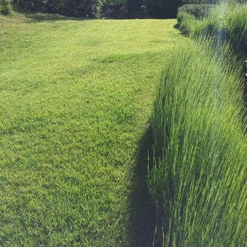 Realizzazione giardino.