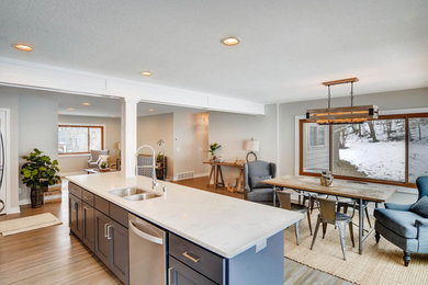 Transitional family room photo in Minneapolis