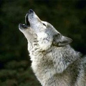 Paul Bierker's photo