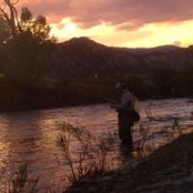 Justin Nolan's photo