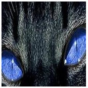Samantha Bruiser's photo