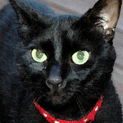 Patti C's photo