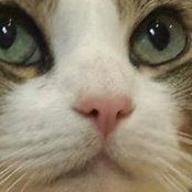 Robin Sykes's photo