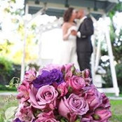 Stephanie Thomas's photo