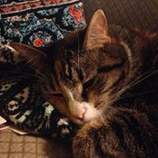 Phyllis Speyer's photo