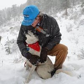Sam Johnson's photo