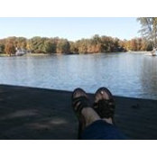 Deborah Nelson Harlan's photo