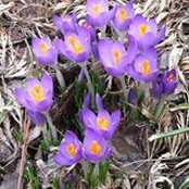 JeanAnn Soeder's photo