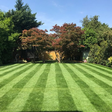 Lawn Care