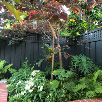 Raised planter with redbud