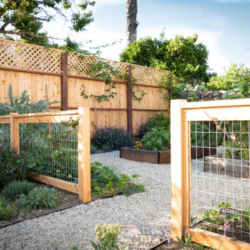 Contemporary Food Forest