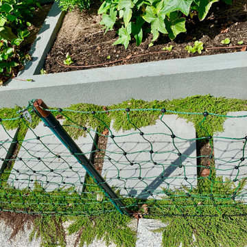 Brookline Edible Garden Paradise
