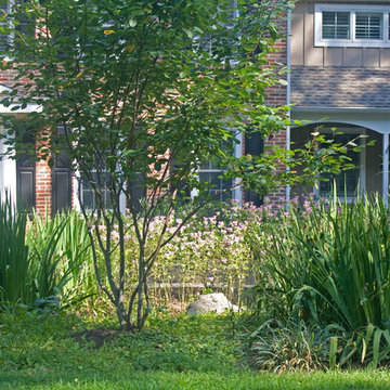 Malvern Front-Yard Rain Garden