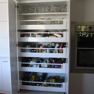 KItchen Pantry Systems